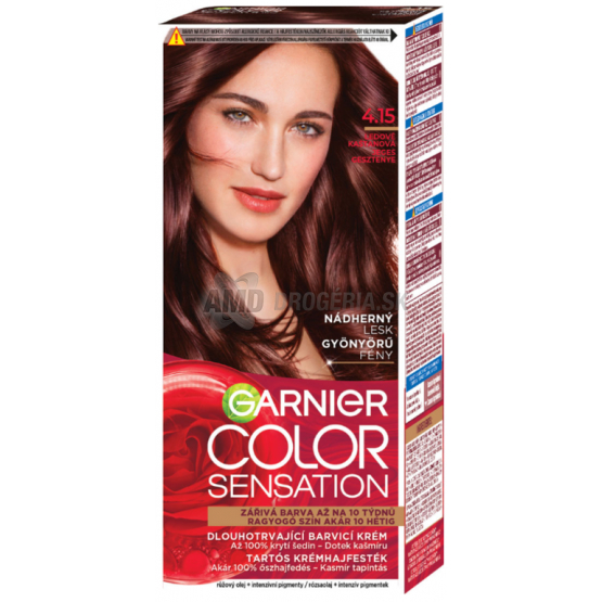 GARNIER COLOR SENSATION 4.15 ĽADOVO GAŠTANOVÁ